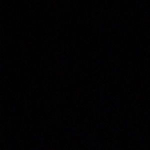 Meet your Posher, Bliss